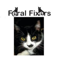 Feral Fixers 🐾(@FeralFixers) 's Twitter Profile Photo