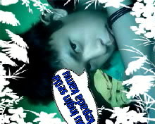 reflinkdoank's profile picture. one heart forever