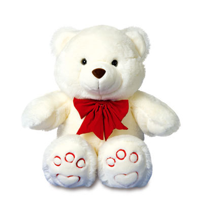 O #Twitter mais carinhoso do #Mundo,que veio lhe trazer muito carinho,amor e compaixão ♥♥♥ #Follow aki