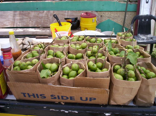 Antilla70's profile picture. 