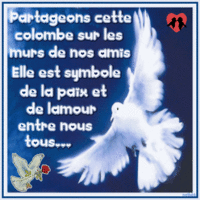 ghislainedi's profile picture. aime la politique   marine  la loyauté ,les sciences humaines , internet , le chocolat, la cuisine ,le bon vivre   bref la ...vie