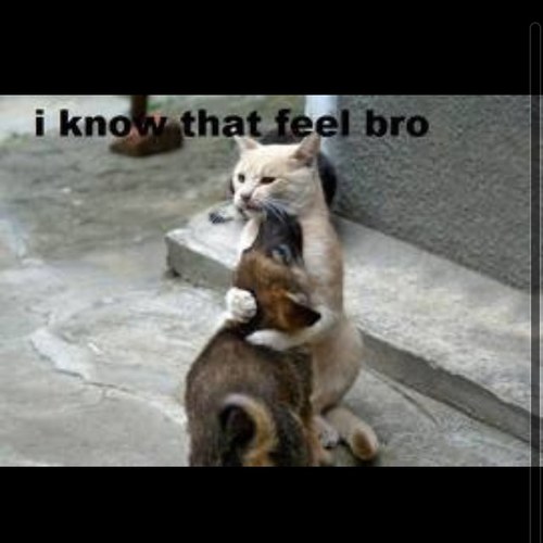 thatfeeling101's profile picture. i know that feeling bro