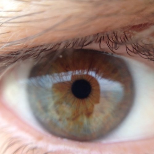 arosebud0's profile picture. 