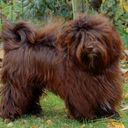 Karen Early - @kehoya75 - Twitter