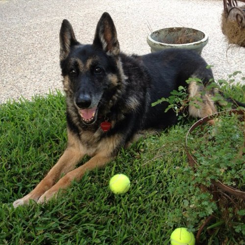 nrbevan's profile picture. 