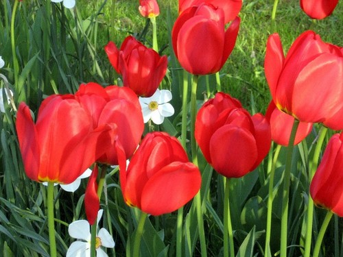 LindTilia's profile picture. 