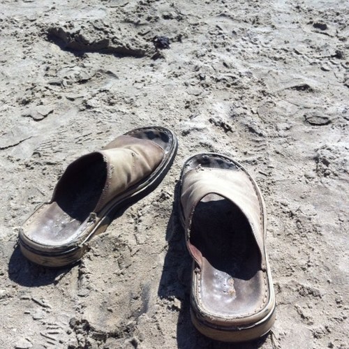 FridJohan's profile picture. 