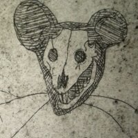 Bailie Rat (@bailierat) 's Twitter Profile