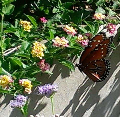 CoastalCouture's profile picture. https://t.co/KcwHWbU9lN