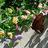 CoastalCouture's profile image