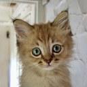 June Hull - @hullyj - Twitter