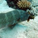 Paul Warwick - @bh_Paul - Twitter