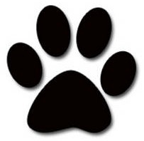 VetTechSchools's profile picture. Working hard to help animal lovers find their perfect careers!