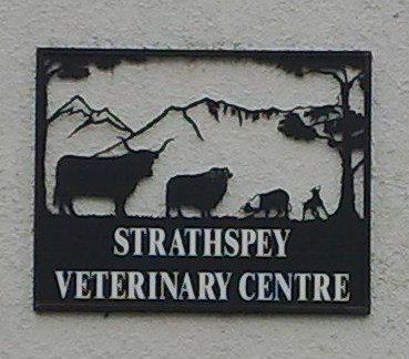 Providing professional veterinary services throughout Strathspey and beyond
