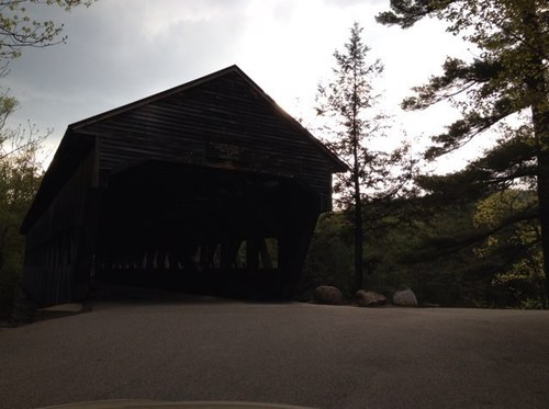 ckucsma's profile picture. Rolling with the waves that keep things moving!