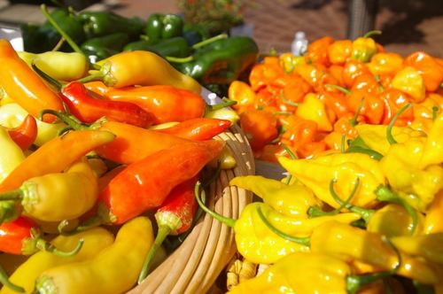 Savory Accents grows a variety of chilies and produces a variety of processed products such as seasonings, oils, hot sauces, and vinaigrettes.