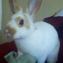 Stephanie Eads - @Solsen09 - Twitter