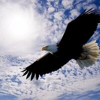자유수호 Defend Freedom (@pray4allnations) 's Twitter Profile