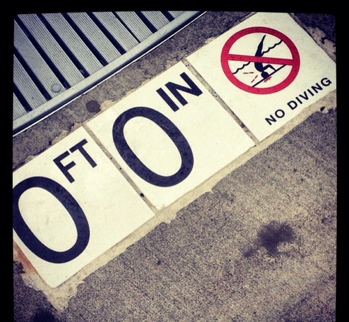 CrocodileDog's profile picture. 