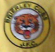 BrierleycubsJFC's profile picture. fantastic community football club,with teams ranging from under 6's to under 14's