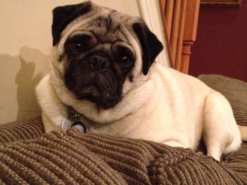 AbbyMolotsky's profile picture. 