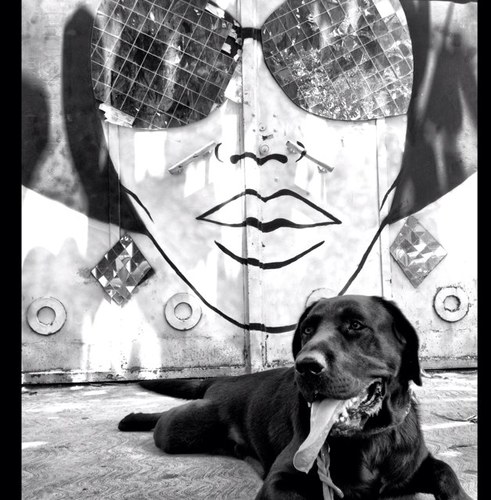 VEROMIN's profile picture. Just Love,Rock 'n Run.