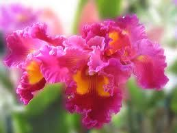 A person's true wealth is the good he or she does in the world.- Mohammed