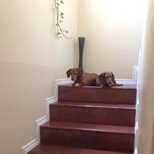 Andocha's profile picture. 