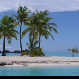 bpolly79's profile picture. 