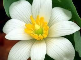 Don't believe me, don't believe yourself,and don't believe anyone else.- don Miguel Ruiz