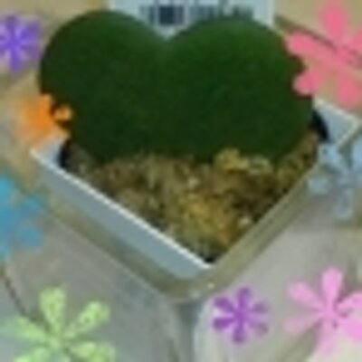 桃茶紫 タトゥー 刺青 は皮膚呼吸が出来なくて肝臓が悪くなる 3はよく肝臓癌で死ぬ 知らなかった まぁ 一生入れないから関係無いけど Tbsradio