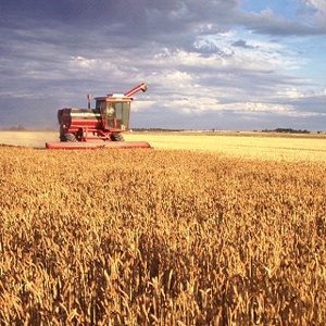 Fantasy Farming News from news sources all around the world