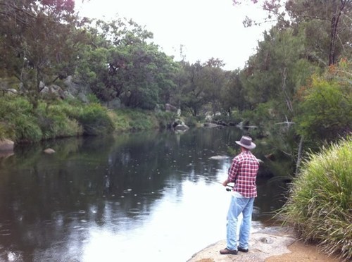 Antpetrie17's profile picture. bball player for the Brisbane Bullets & proud deepwater/tenterfield boy. 2372