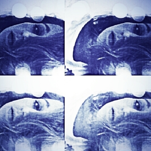 hey i like photography lol