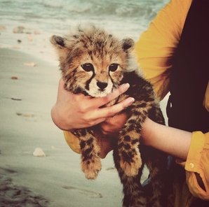 redismycolor1's profile picture. 