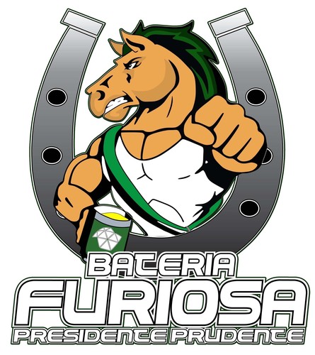 Bateria Universitária formada por alunos da Unesp de Presidente Prudente*SP.