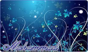 amarop2@-plm.com