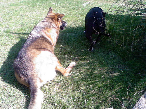 MagsBullman's profile picture. work at Waitrose, in a relationship