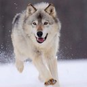 Forrest Redd - @ForrestRedd - Twitter