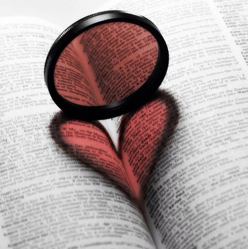 mana31's profile picture. gamer, reader and sometime writer..