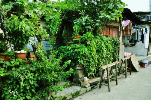 linfeng321's profile picture. gbiuahghaoihgoihaoihgoiahoihgoihaohgoahoghoahoghoahgohaohgohaoghoiahoighaohgohaohgohaohgoahoghoahgohaoghoiahgoh