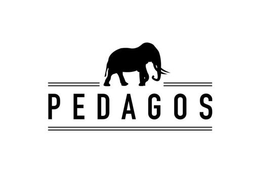 Pedagos's profile picture. 