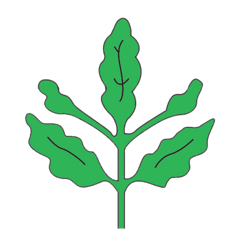 RepofKad's profile picture. Fenerbahçe Spor Kulübü Taraftar Sitesi 24.07.2012