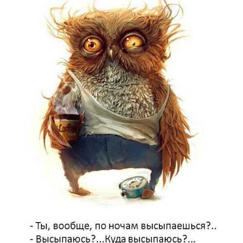 serbtula's profile picture. 