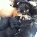 noah kidd - @DumbledoreNoah - Twitter