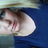 mariaahlin's profile image