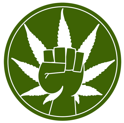 Buy The Best Cannabis Seeds from the Worlds Most TRUSTED & Reliable Pick & Mix Marijuana Seedbank! Follow us for updates, hot offers & FREE Cannabis Seeds!