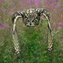 Wendy Munro - @Wendpyr1 - Twitter