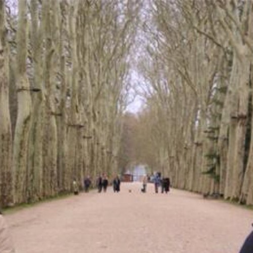 JY_KIM111's profile picture. 심사역/기업금융/IB/기업분석/기업탐방/CB/BW/EB/블록딜/유상증자/Pre-IPO/재무분석/경제/금융