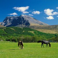VisitFortWilliam (@visitfortwm) 's Twitter Profile